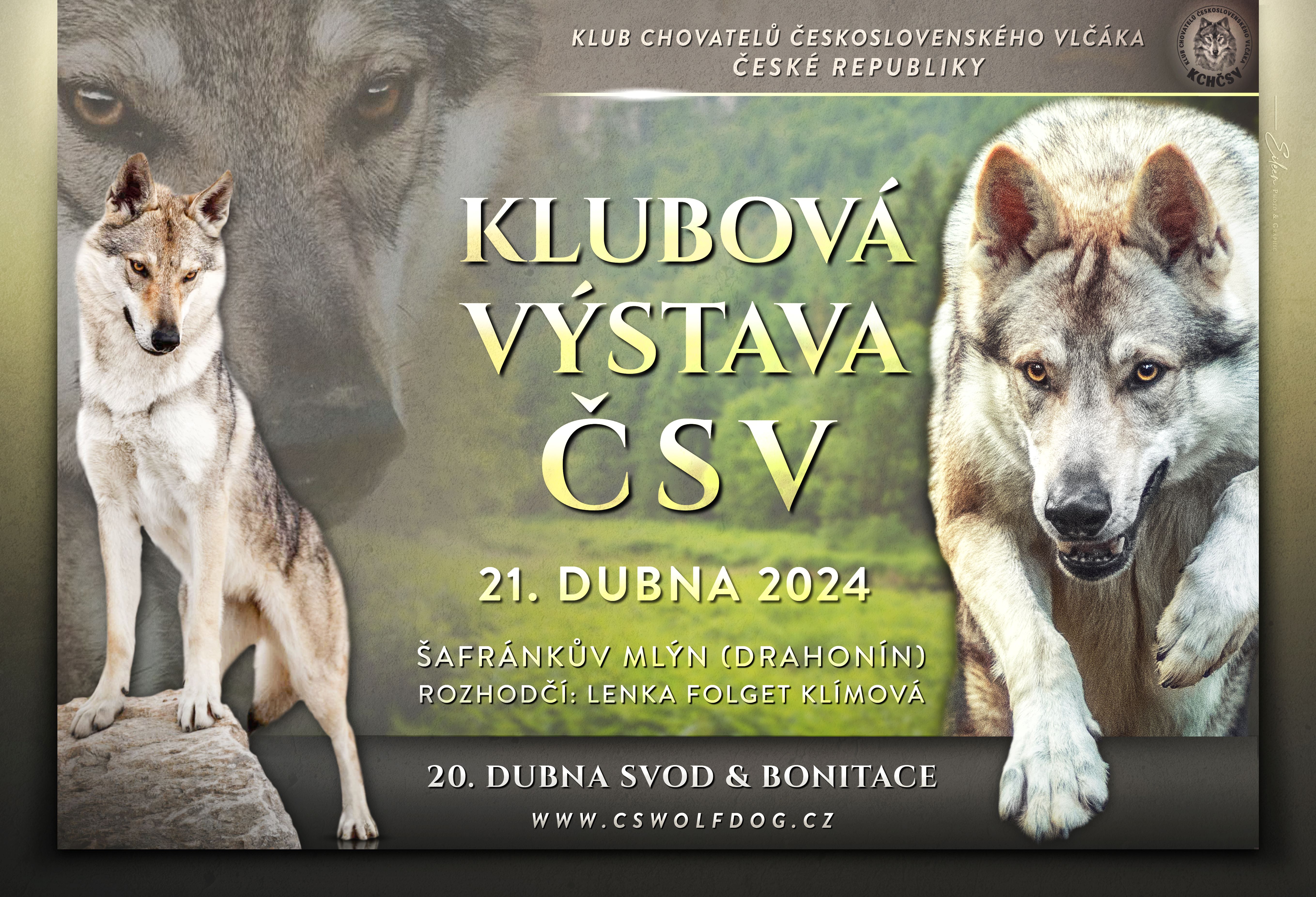 VstavaSV2024 web1