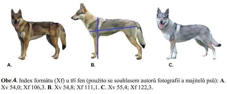 Xf-fig